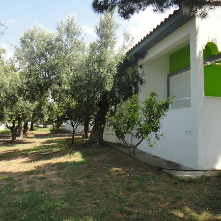 Bungalows Camping Kouyoni Γερακινή Εξωτερικό φωτογραφία