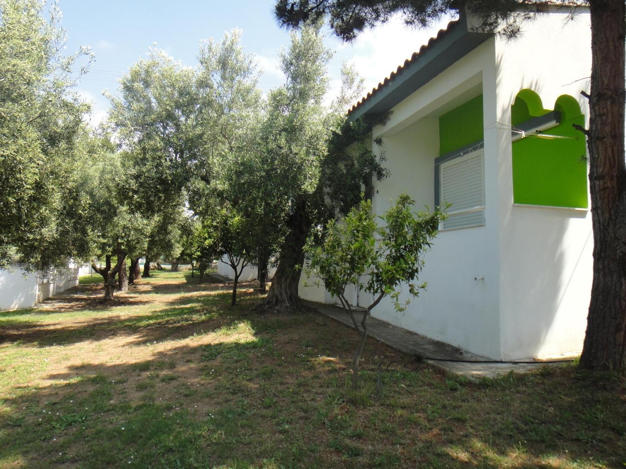 Bungalows Camping Kouyoni Γερακινή Εξωτερικό φωτογραφία